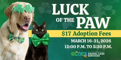 Luck of the Paw; $17 Adoption Fees; March 16th through 21st, 2026; 12:00 p.m. to 5:30 p.m.; City of Corpus Christi Animal Care Services