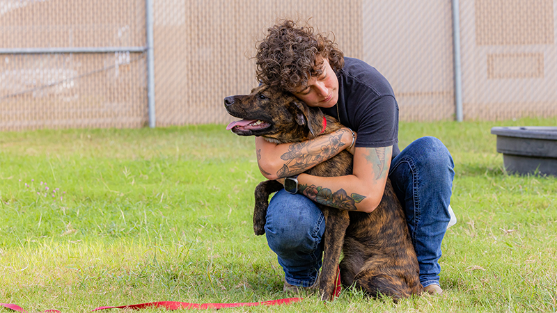 Volunteer holding a dog