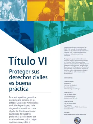 Cartel del Título VI