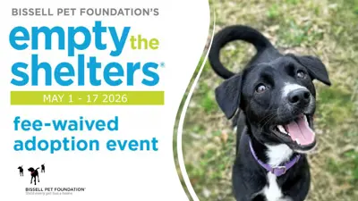 Empty the Shelters is sponsored by the Bissel Pet Foundation. May 1st through May 17th for this fee-waived adoption event