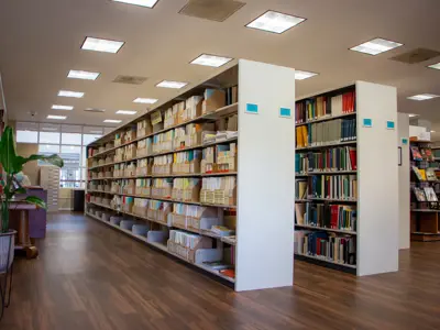 library bookshelves