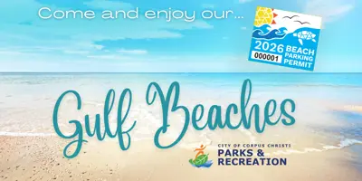 Come and enjoy our Gulf Beaches!