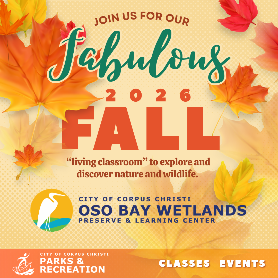 Fabulous 2026 Fall Classes and Events