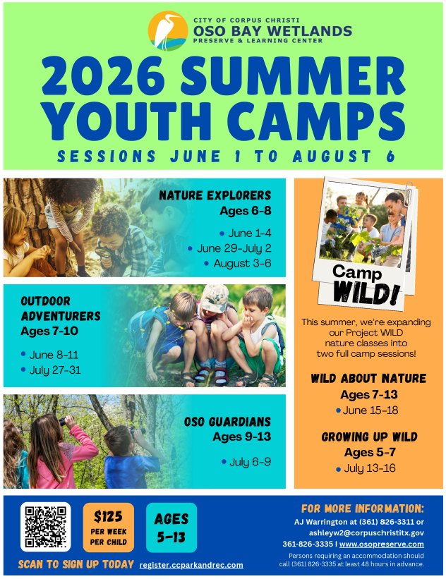 2026 Summer Youth Camps