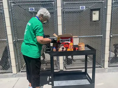 Woman with dog food