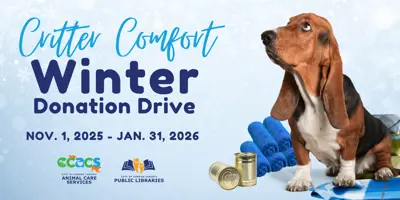 Critter Comfort Pet Donations Drive