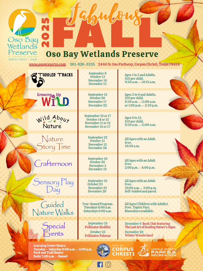 Fabulous Fall 2025 Flyer