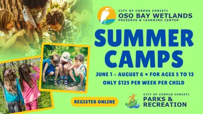 Oso Bay Wetlands Summer Camps; June 1 - August 6; For ages 5 to 13; Only $125 per week per child. Register Online!