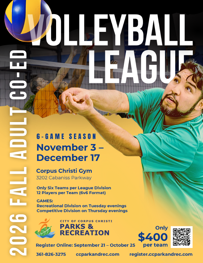 Volleyball League Flyer