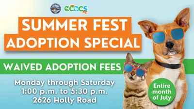 Summer Fest Adoption Special: Waived Adoption Fees. Monday through Saturday. 1:00 p.m. to 5:00 p.m. 2626 Holly Road