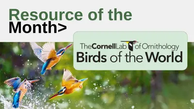 Resource of the Month: Birds of the World