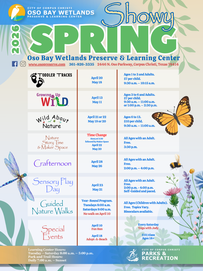 Showy Spring Flyer Thumbnail